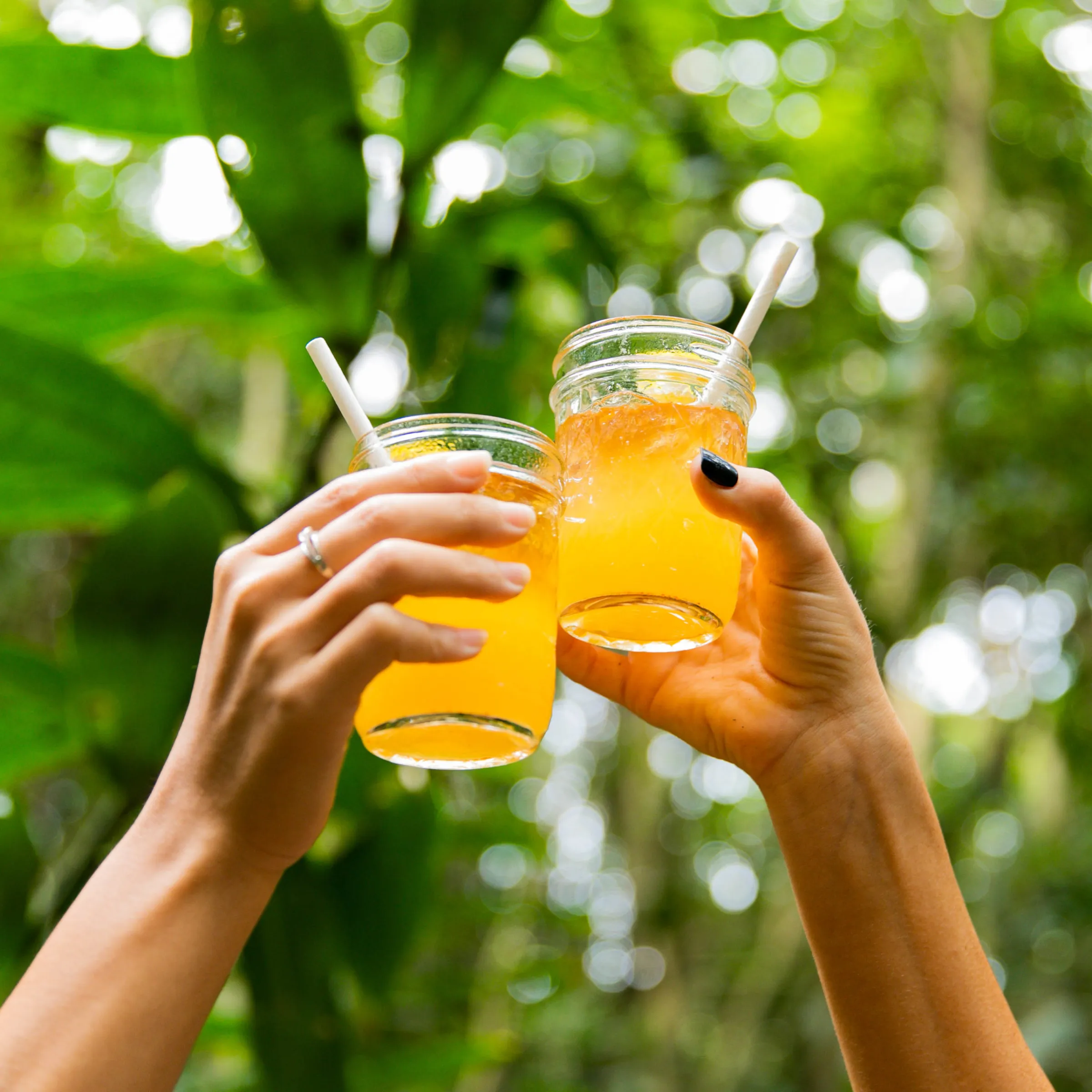2M8A0196-2 a hand holding a glass of orange juice