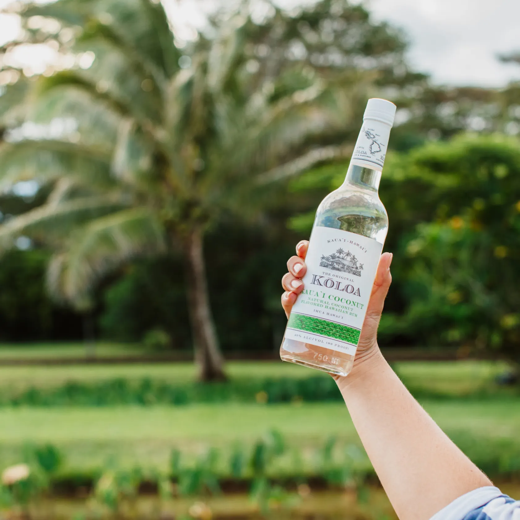 a hand holding a frisbee in a park