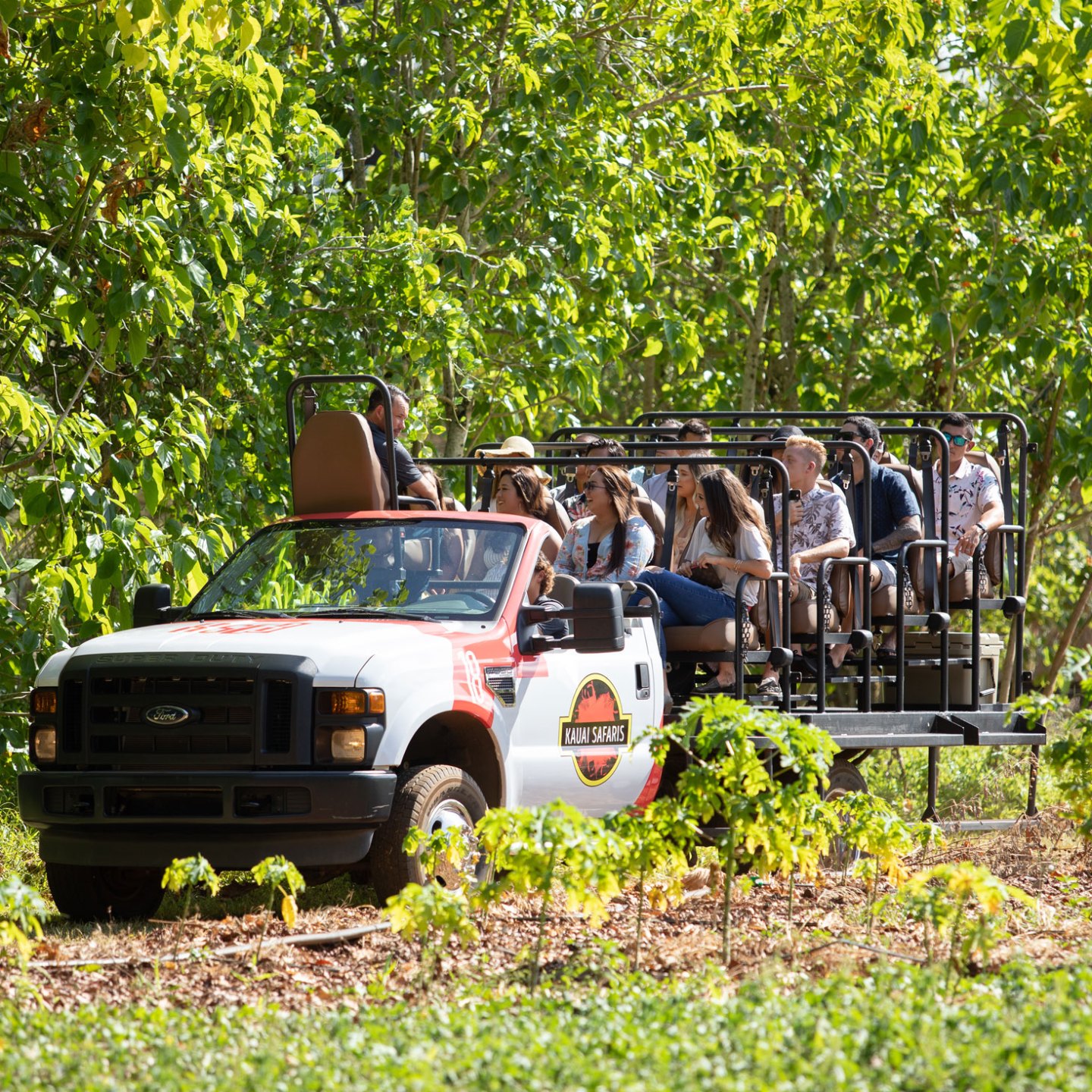 a truck is parked in a garden