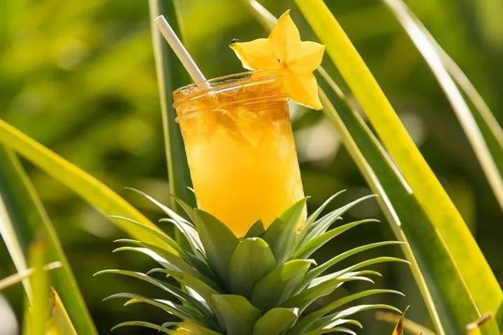 a pineapple on a plant